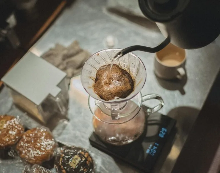 淺焙咖啡沖煮完全指南：讓花香果酸完美綻放的技術與心法