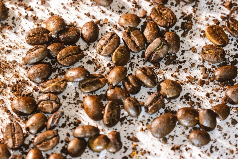 厭氧發酵咖啡完全指南：從紅酒工藝到精品咖啡的風味革命