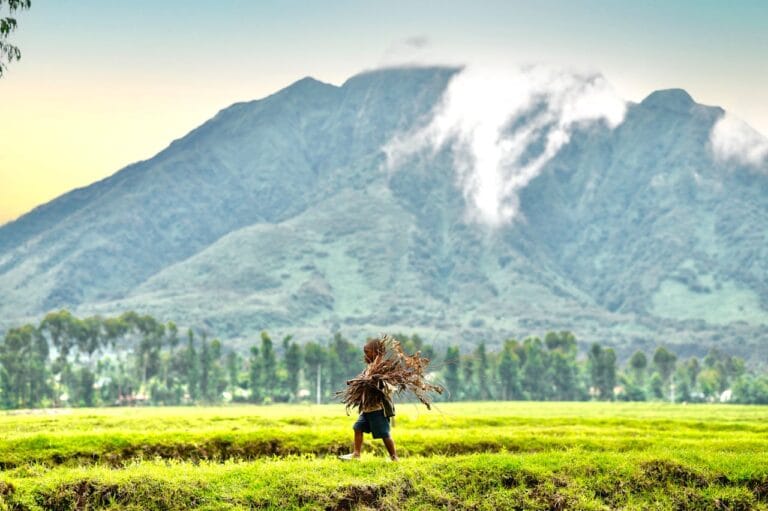 古吉咖啡完全指南：從耶加雪菲的影子走向精品咖啡的舞台中央