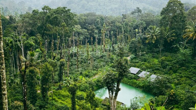巴拿馬咖啡完全指南：從巴魯火山到 Best of Panama，精品咖啡聖地的全貌
