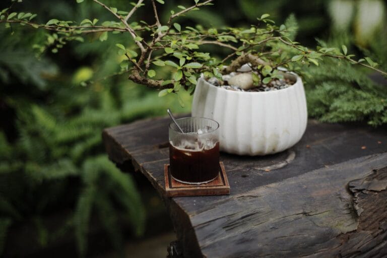 巴西伊帕內瑪莊園厭氧日曬咖啡：頂級藍B64水蜜桃風味